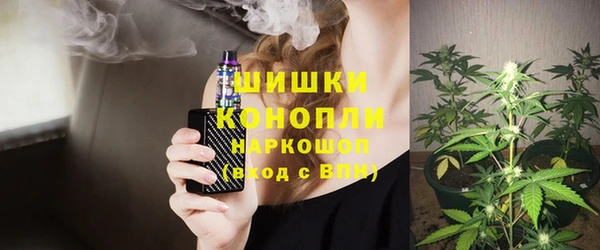 дживик Сатка