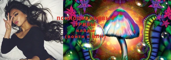 МДПВ Ростов