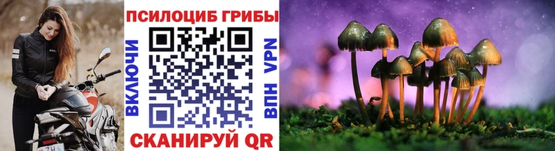 купить   Володарск  Псилоцибиновые грибы Psilocybine cubensis 