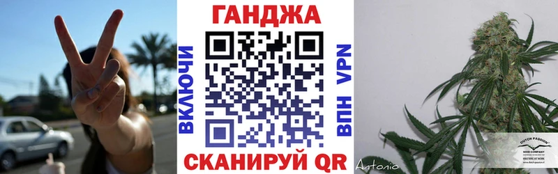 Бошки Шишки конопля  где купить   Володарск 